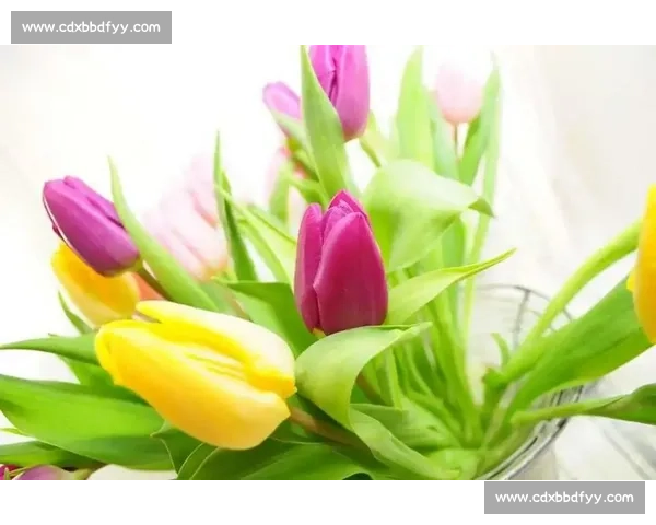 王者之师！日本电竞国家队名单，这才是真正的强者！